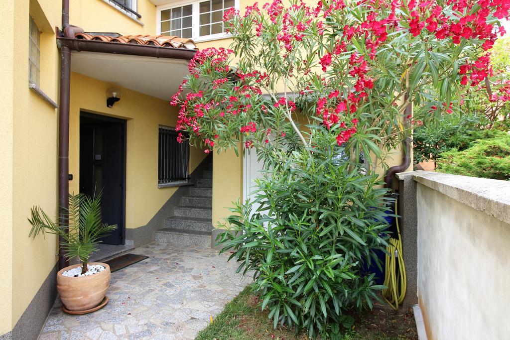 Villa Ambiente Pjescana Uvala Exterior foto
